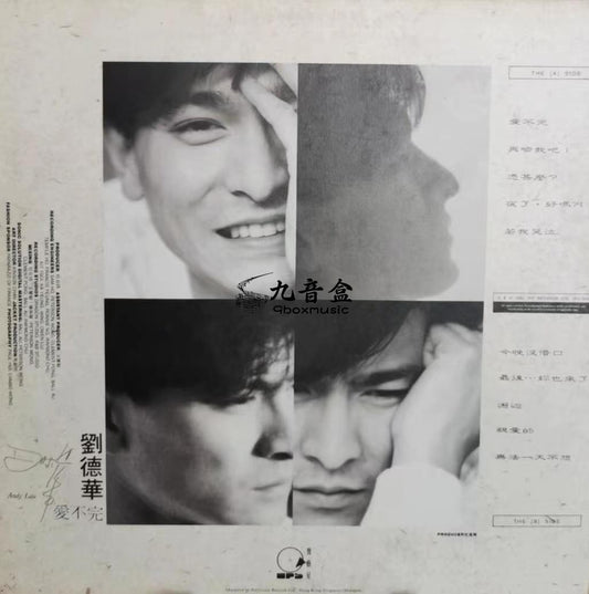 劉德華 愛不完黑膠回收