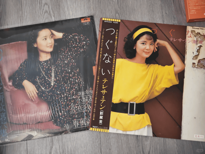 [Nine Audio Box Interview] Audiophiles part with rare,out-of-print treasures,Danny Chan and Teresa Teng vinyl records