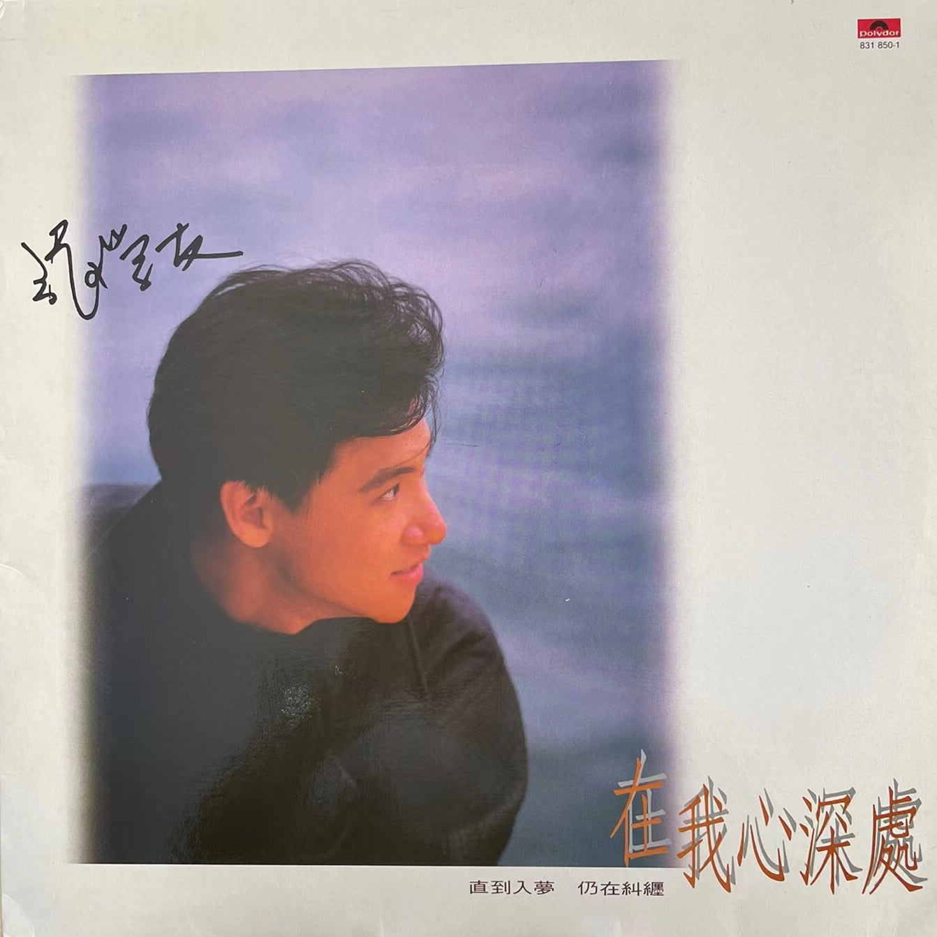 Jacky Cheung vinyl records collection - 9Box Music