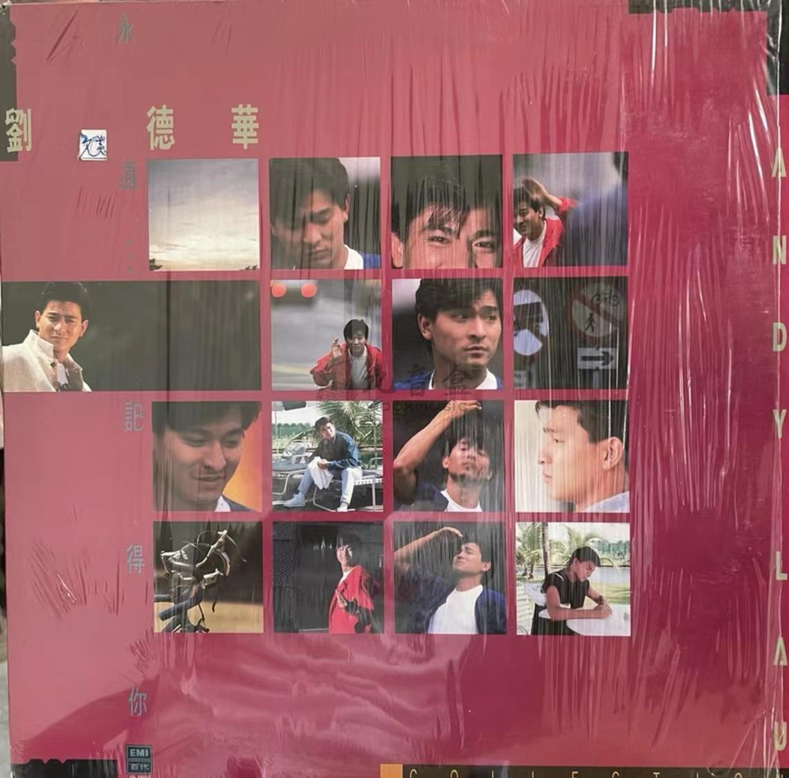 Andy Lau vinyl records collection - 9Box Music