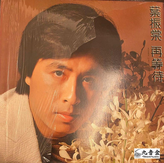 葉振棠《再等待》黑膠LP唱片封套正面｜九音盒回收