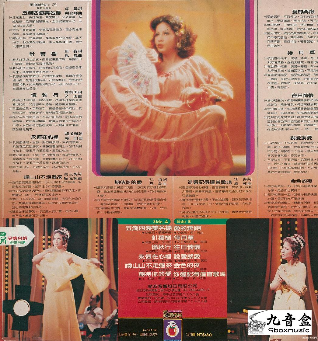 甄妮《針葉樹》黑膠LP黑膠盤面實拍｜九音盒收購