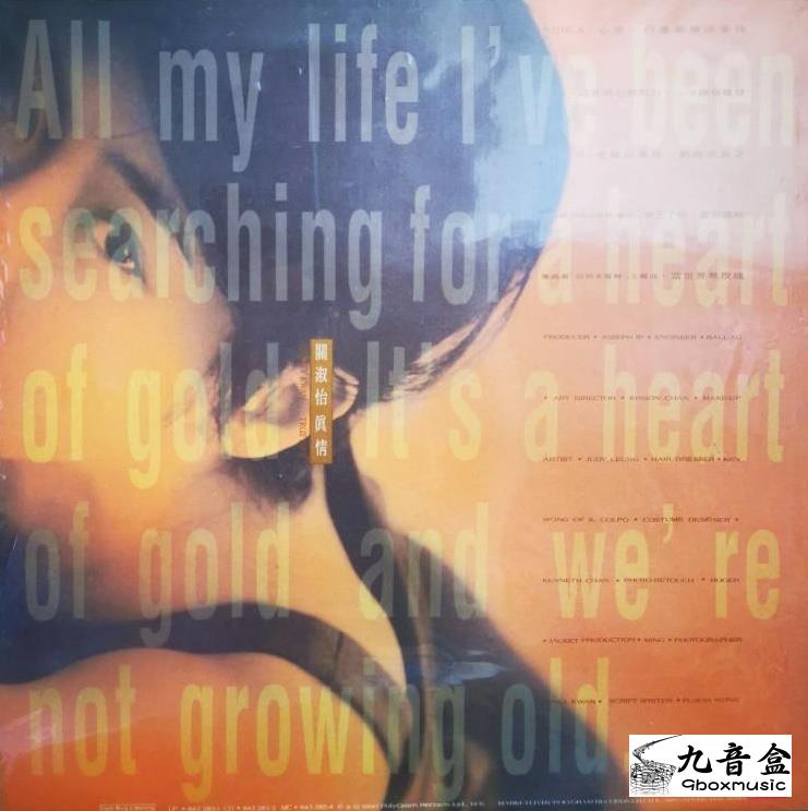 關淑怡《真情》黑膠LP黑膠盤面實拍｜九音盒收購