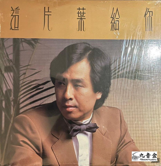 葉振棠《這片葉給你》黑膠LP唱片封套正面｜九音盒回收