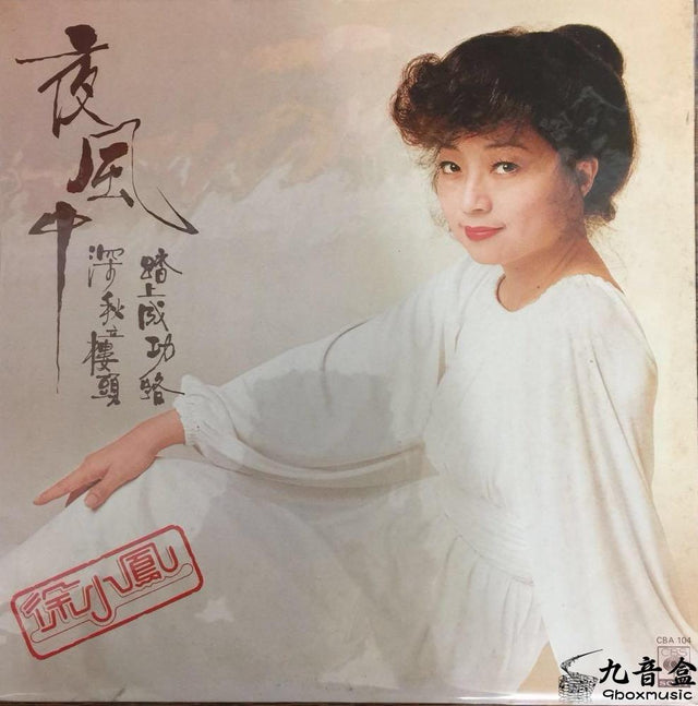 徐小鳳《夜風中》黑膠LP唱片封套正面｜九音盒回收