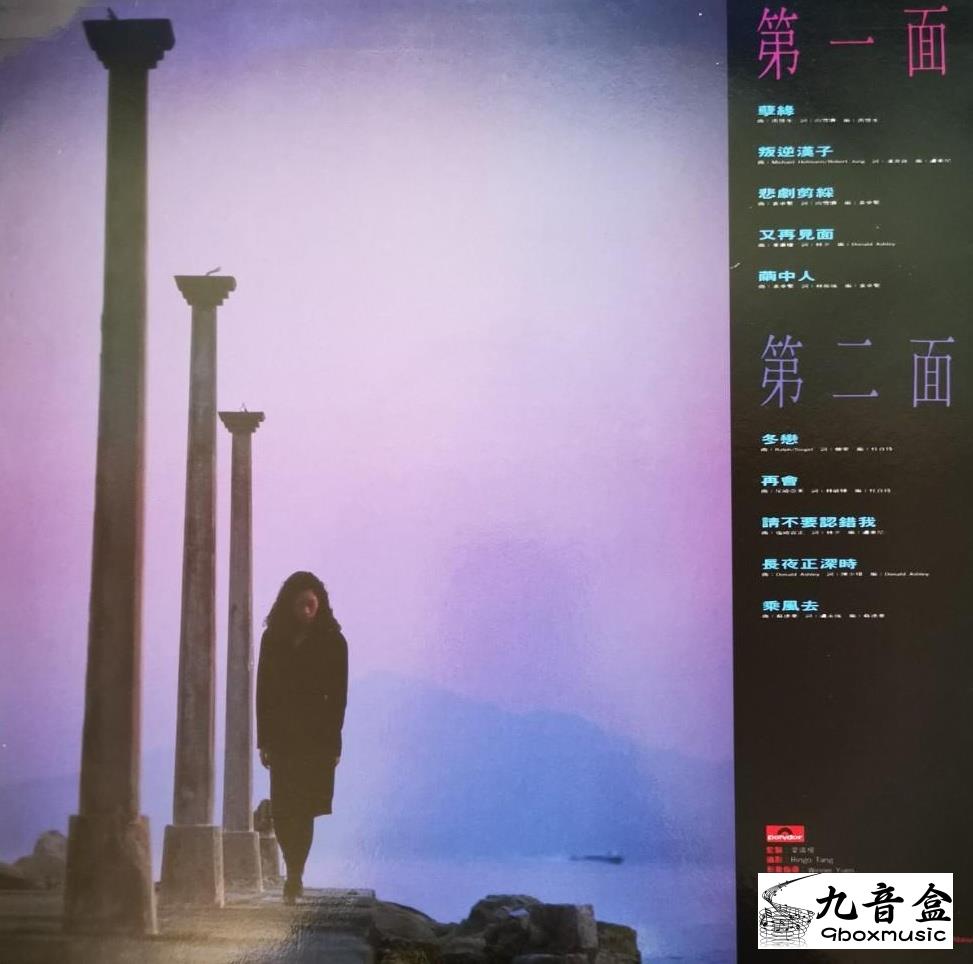 關淑怡《冬戀》黑膠LP黑膠盤面實拍｜九音盒收購