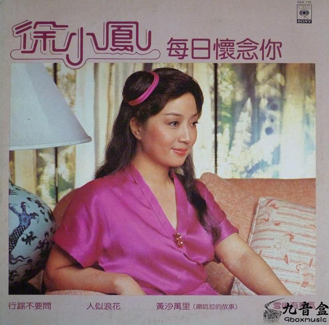 徐小鳳《每日懷念你》黑膠LP唱片封套正面｜九音盒回收