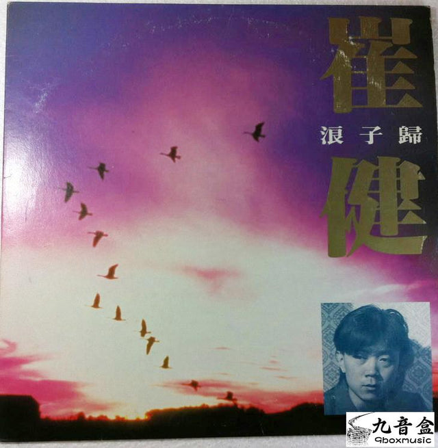 崔健《浪子歸》黑膠LP唱片封套正面｜九音盒回收