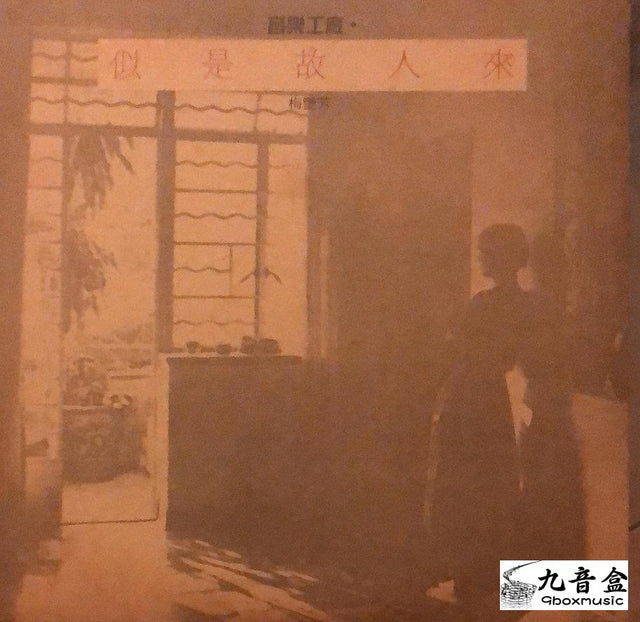 梅艷芳《似是故人來 白版》黑膠LP唱片封套正面｜九音盒回收