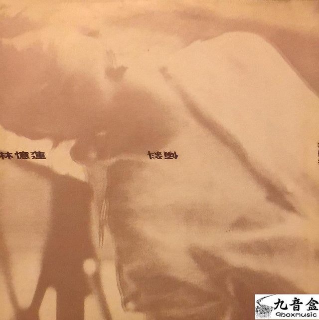 林憶蓮《傾斜 白版》黑膠LP唱片封套正面｜九音盒回收