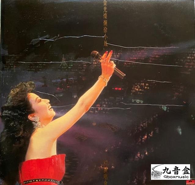 徐小鳳《金光燦爛 87演唱會》黑膠LP唱片封套正面｜九音盒回收
