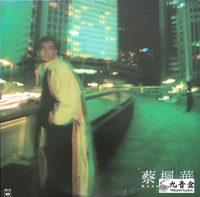 蔡楓華《風中追風》黑膠LP唱片封套正面｜九音盒回收