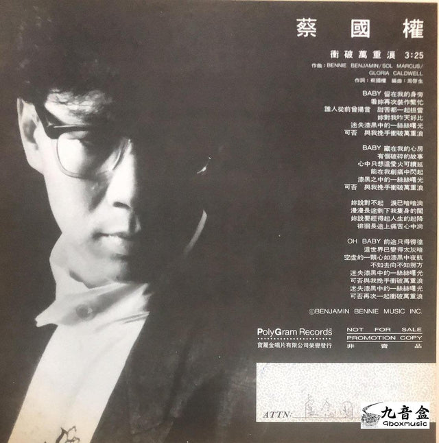 蔡國權《衝破萬重浪 白版》黑膠LP唱片封套正面｜九音盒回收