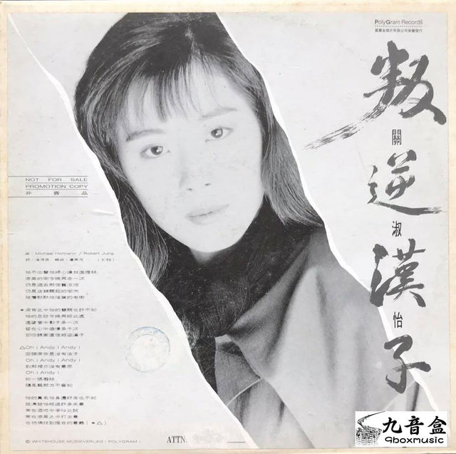 關淑怡黑膠LP唱片封套正面｜九音盒回收