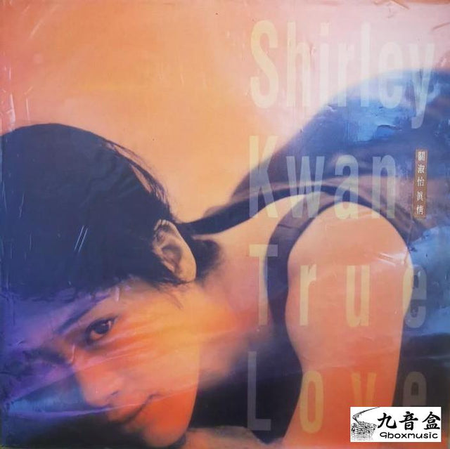 關淑怡《真情》黑膠LP唱片封套正面｜九音盒回收