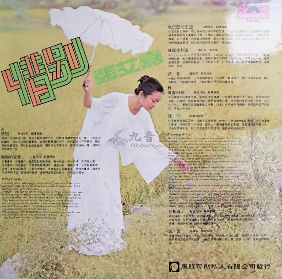 張艾嘉《惜別》黑膠LP黑膠盤面實拍｜九音盒收購
