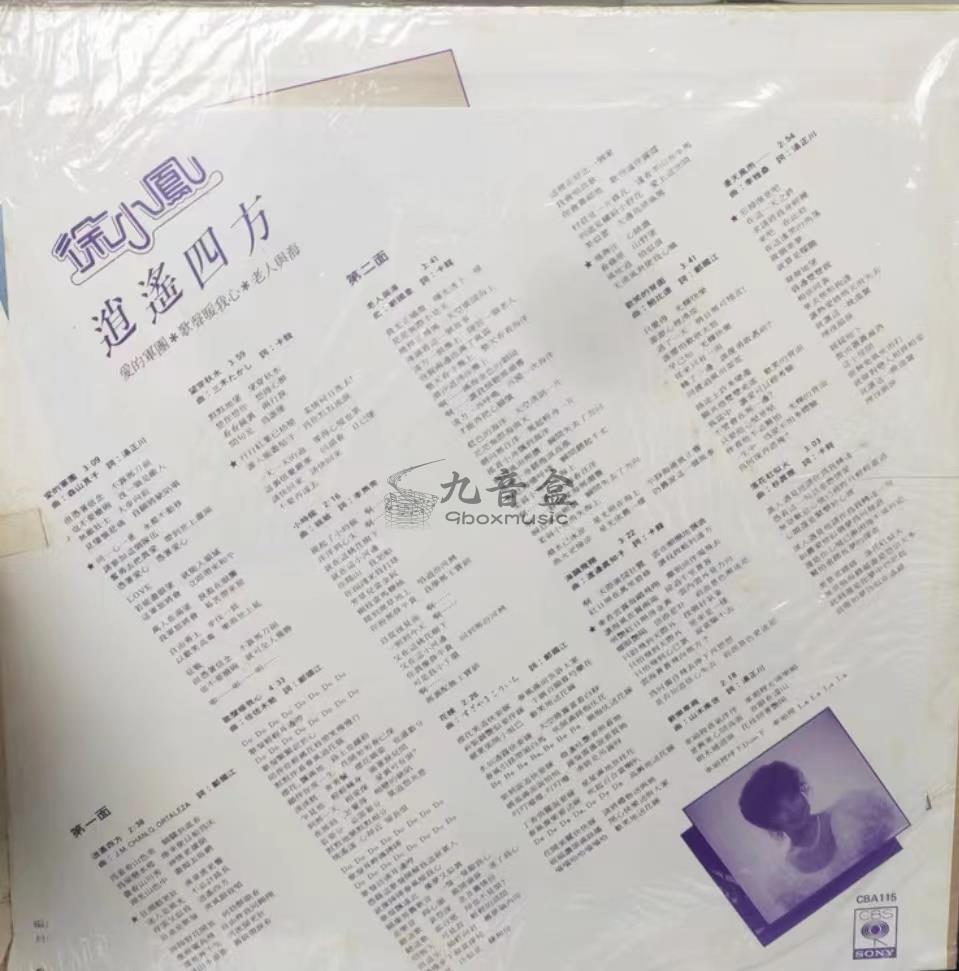 徐小鳳《逍遙四方》黑膠LP黑膠盤面實拍｜九音盒收購