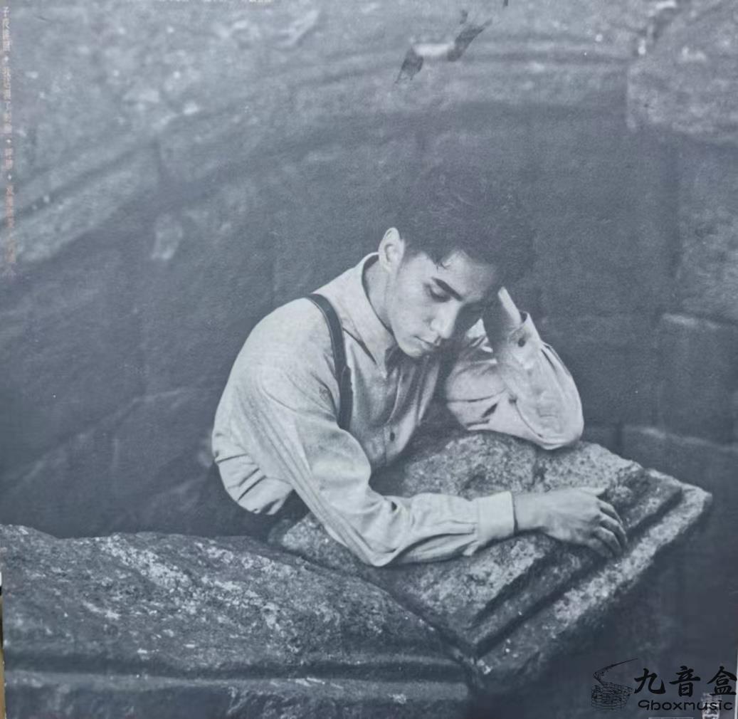 黃凱芹《MOODY》黑膠LP黑膠盤面實拍｜九音盒收購