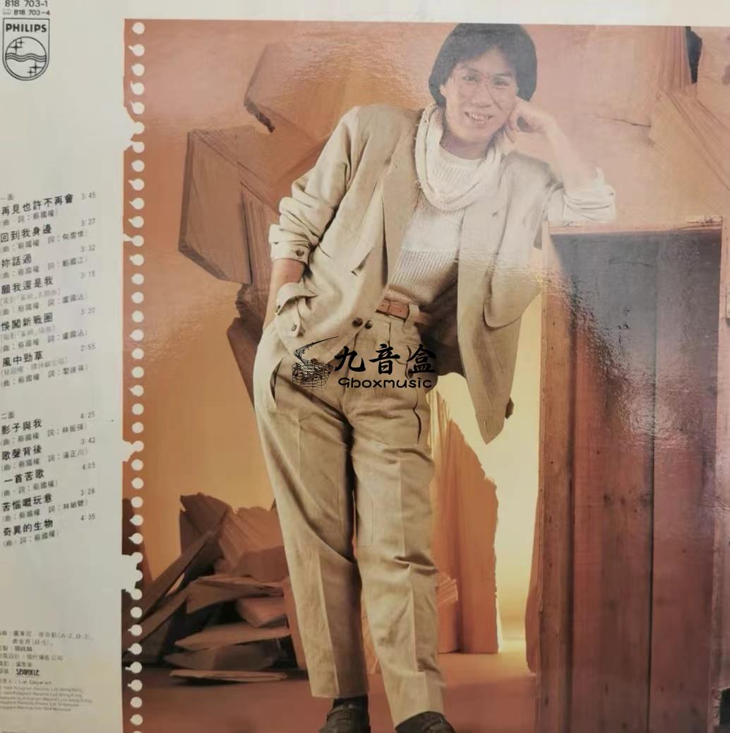 蔡國權《再見也許不再會》黑膠LP黑膠盤面實拍｜九音盒收購