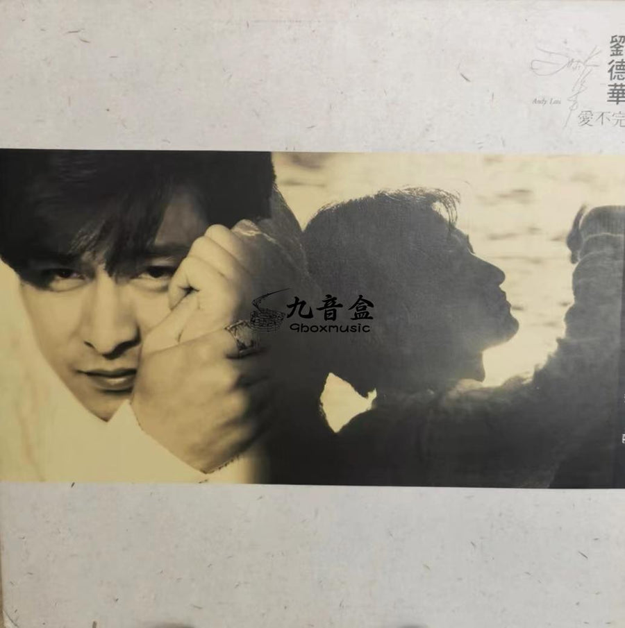 劉德華《愛不完》黑膠LP唱片封套正面｜九音盒回收