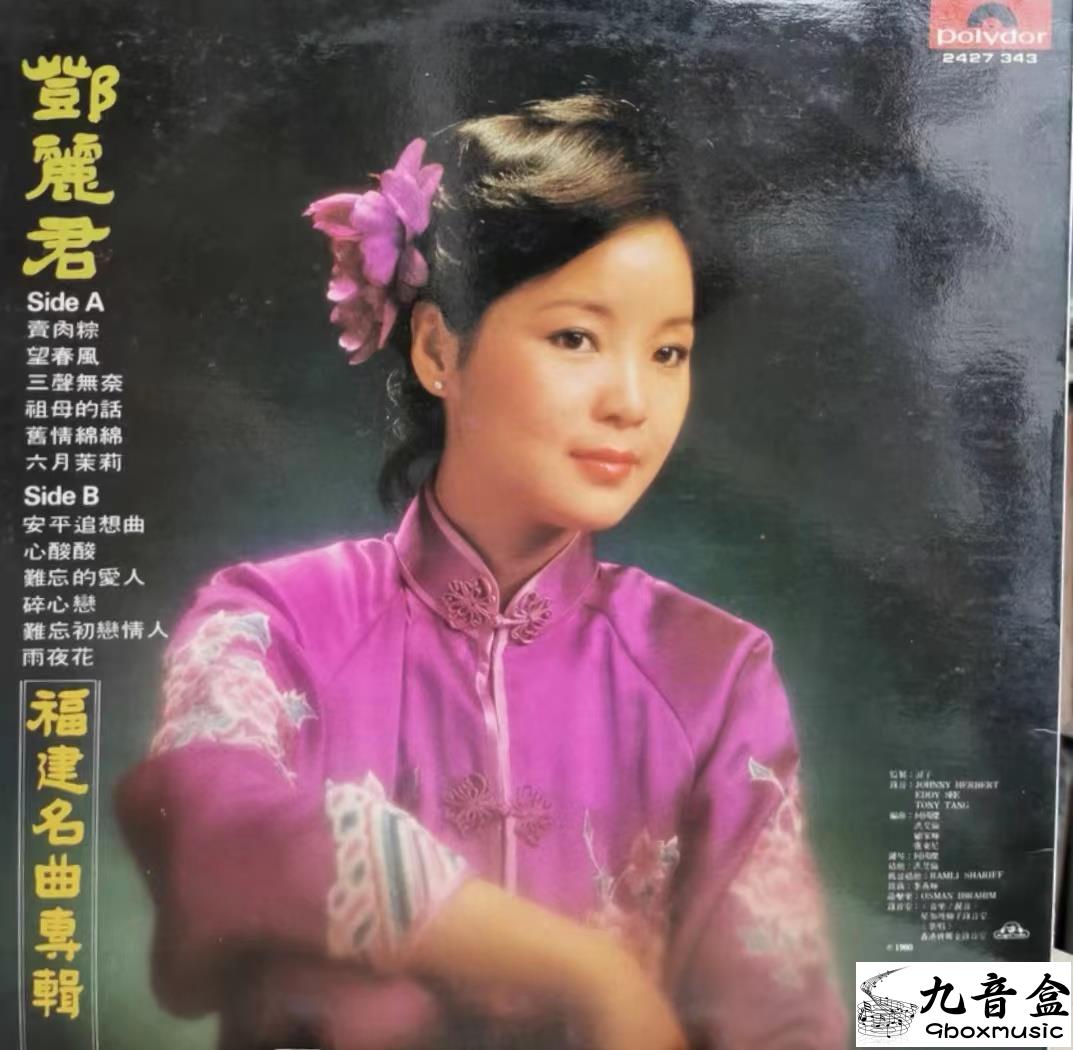鄧麗君《福建名曲專輯》黑膠LP黑膠盤面實拍｜九音盒收購