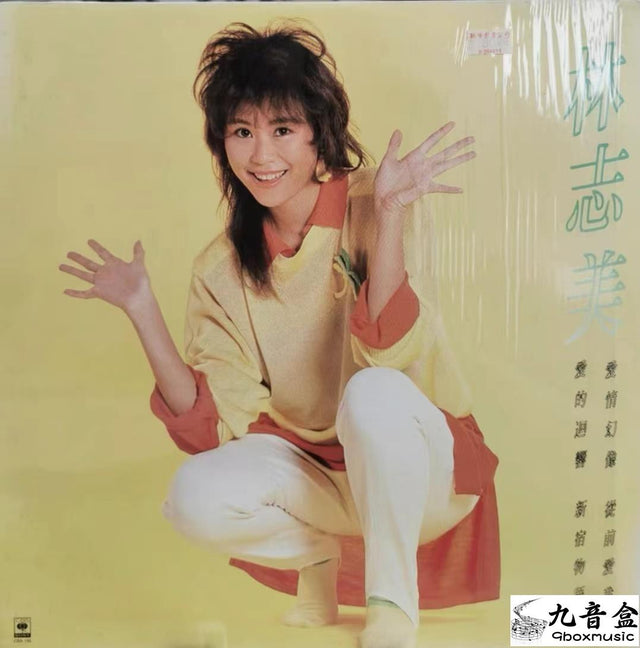 林志美《愛情幻像》黑膠LP唱片封套正面｜九音盒回收