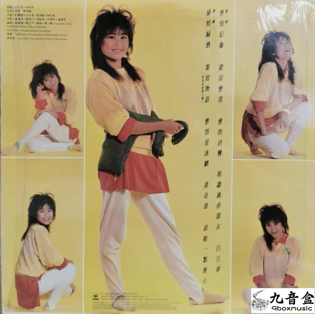林志美《愛情幻像》黑膠LP黑膠盤面實拍｜九音盒收購