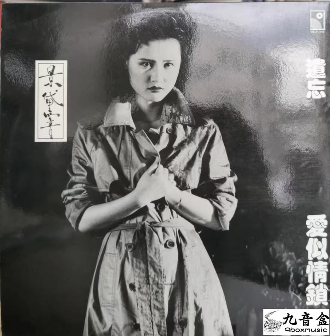 景黛音《此夜心情》黑膠LP黑膠盤面實拍｜九音盒收購