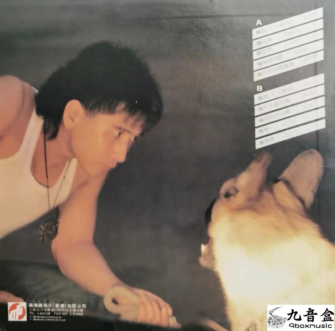 齊秦《狼Ⅱ》黑膠LP黑膠盤面實拍｜九音盒收購