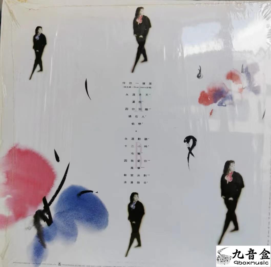 林志美《志美幻彩精選-89》黑膠LP黑膠盤面實拍｜九音盒收購
