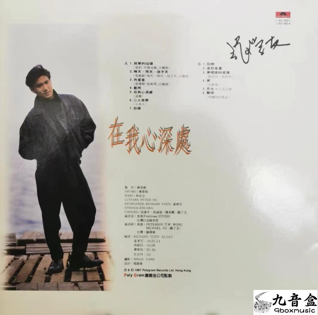 張學友《在我心深處》黑膠LP黑膠盤面實拍｜九音盒收購