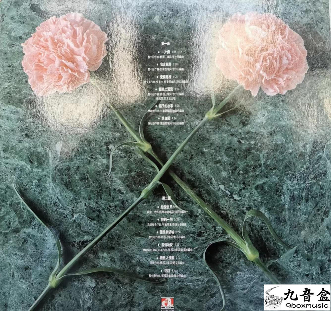 張國榮《的一片痴》黑膠LP黑膠盤面實拍｜九音盒收購