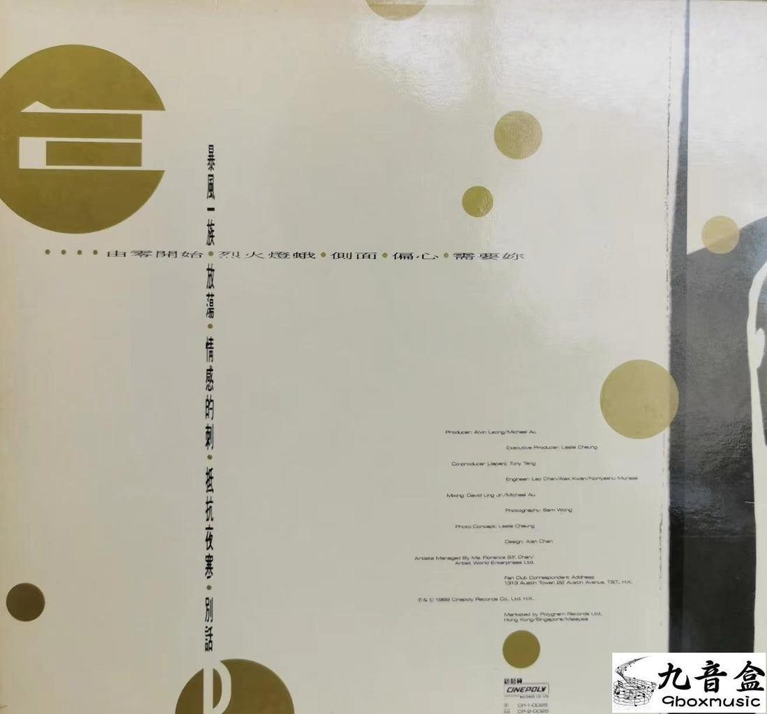 張國榮《由零開始 / 側面》黑膠LP黑膠盤面實拍｜九音盒收購