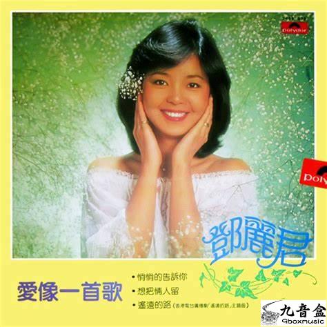 鄧麗君《愛像一首歌》黑膠LP唱片封套正面｜九音盒回收