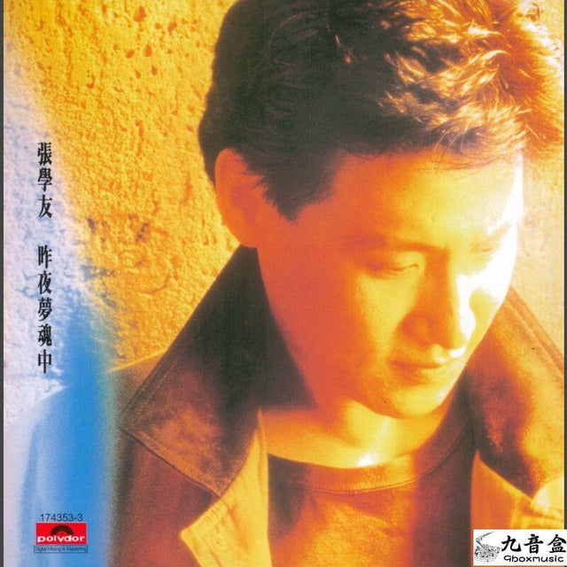 張學友《昨夜夢魂中》黑膠LP唱片封套正面｜九音盒回收
