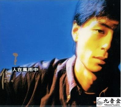 王傑《人在風雨中》黑膠LP唱片封套正面｜九音盒回收