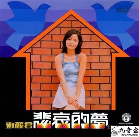 鄧麗君《悲哀的夢》黑膠LP唱片封套正面｜九音盒回收