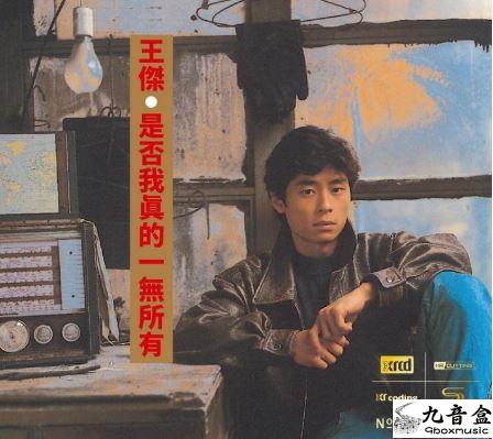 王傑《是否我真的一無所有 國語》黑膠LP唱片封套正面｜九音盒回收