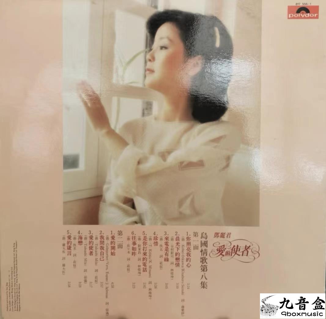 鄧麗君《愛的使者》黑膠LP黑膠盤面實拍｜九音盒收購