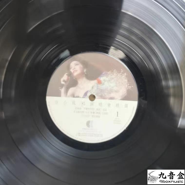 徐小鳳《85演唱會精選》黑膠LP封底與曲目資訊｜九音盒上門回收