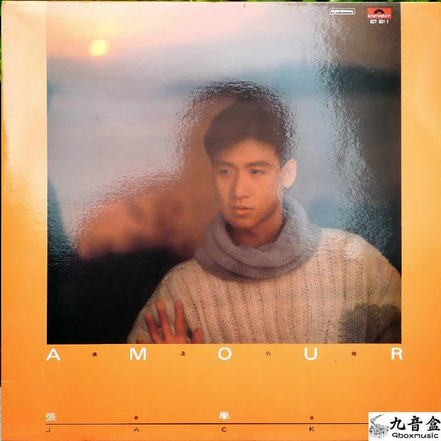 張學友《Amour / 遙遠的她》黑膠LP唱片封套正面｜九音盒回收