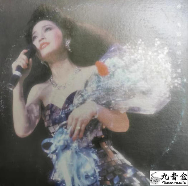 徐小鳳《85演唱會精選》黑膠LP唱片封套正面｜九音盒回收