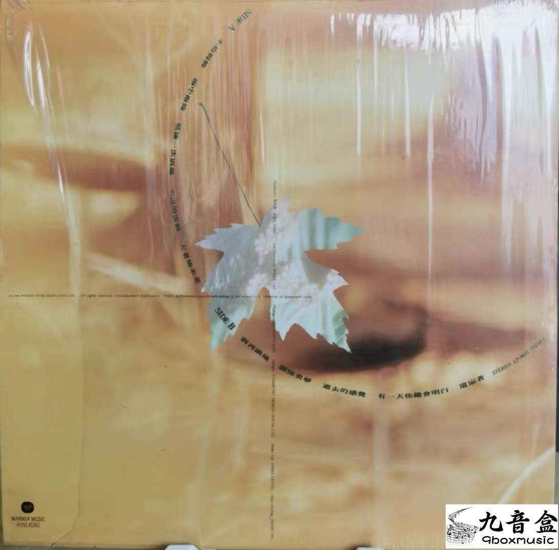 呂方《不捨得妳》黑膠LP黑膠盤面實拍｜九音盒收購